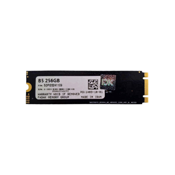 اس اس دی اینترنال اف دی کی B5 SERIES M.2 SATA ظرفیت 256 گیگابایت